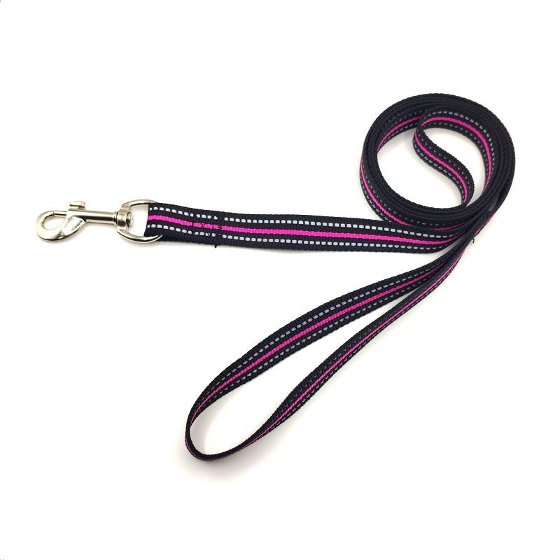 dog-rope-13.jpg