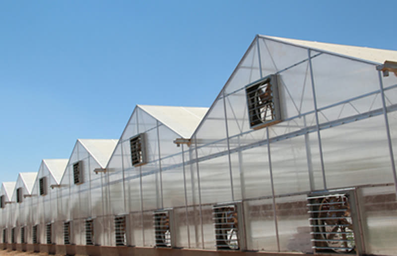 PC+PE Greenhouses