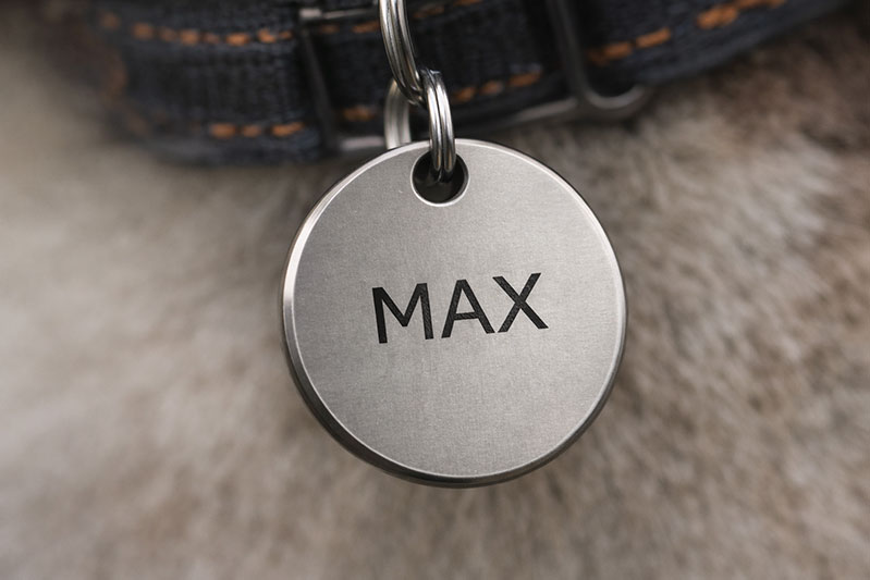 Titanium pet tag close up